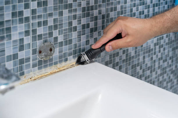 Best Residential Mold Remediation in North Bay Village, FL